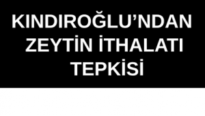 KINDIROĞLU’NDAN ZEYTİN İTHALATI TEPKİSİ
