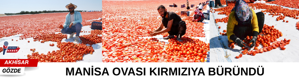 MANİSA OVASI KIRMIZIYA BÜRÜNDÜ