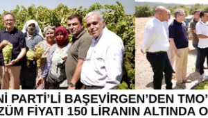 YENİ PARTİ’Lİ BAŞEVİRGEN’DEN TMO’YA ÇAĞRI: “ÜZÜM FİYATI 150 LİRANIN ALTINDA OLMAMALI”