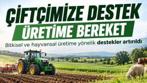 Tarımsal Destekler Artırıldı: 2026 Üretim Yılı Destek Tutarları Güncellendi