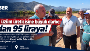 TMO’dan kuru üzüm üreticisine büyük darbe: 120 liradan 95 liraya!