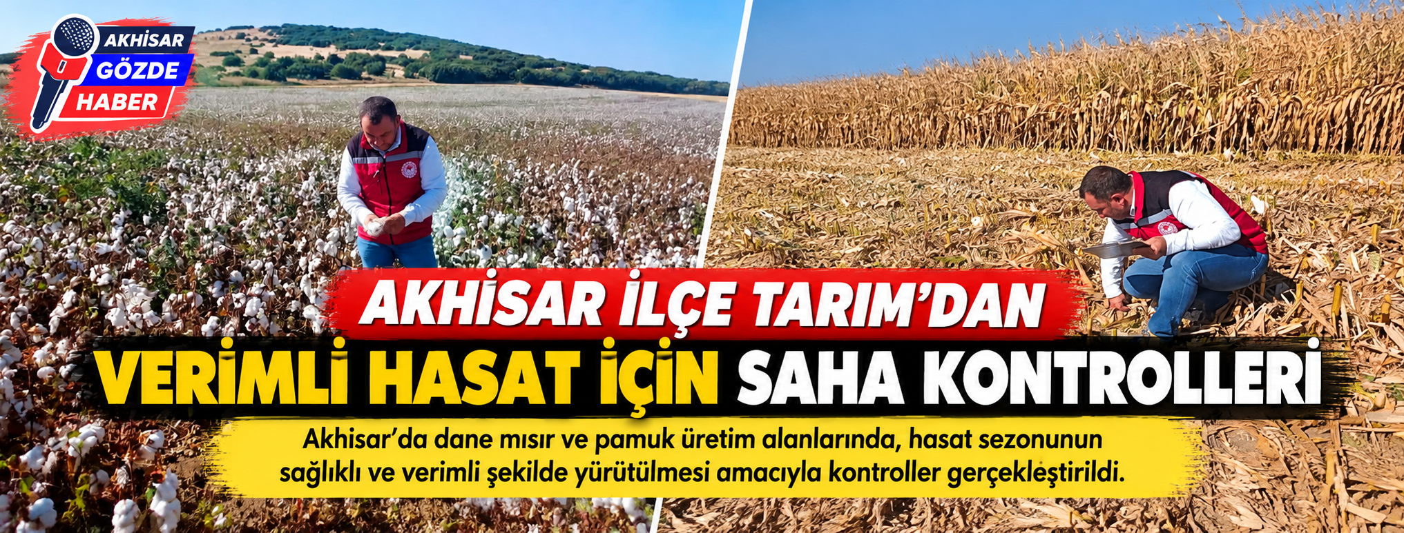 Akhisar İlçe Tarım’dan Verimli Hasat İçin Saha Kontrolleri