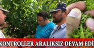 Kontroller Aralıksız Devam Ediyor
